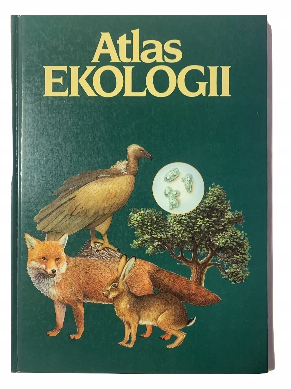 Okładka: ATLAS EKOLOGII - Miguel Angel Garcia Lucas TWARDA