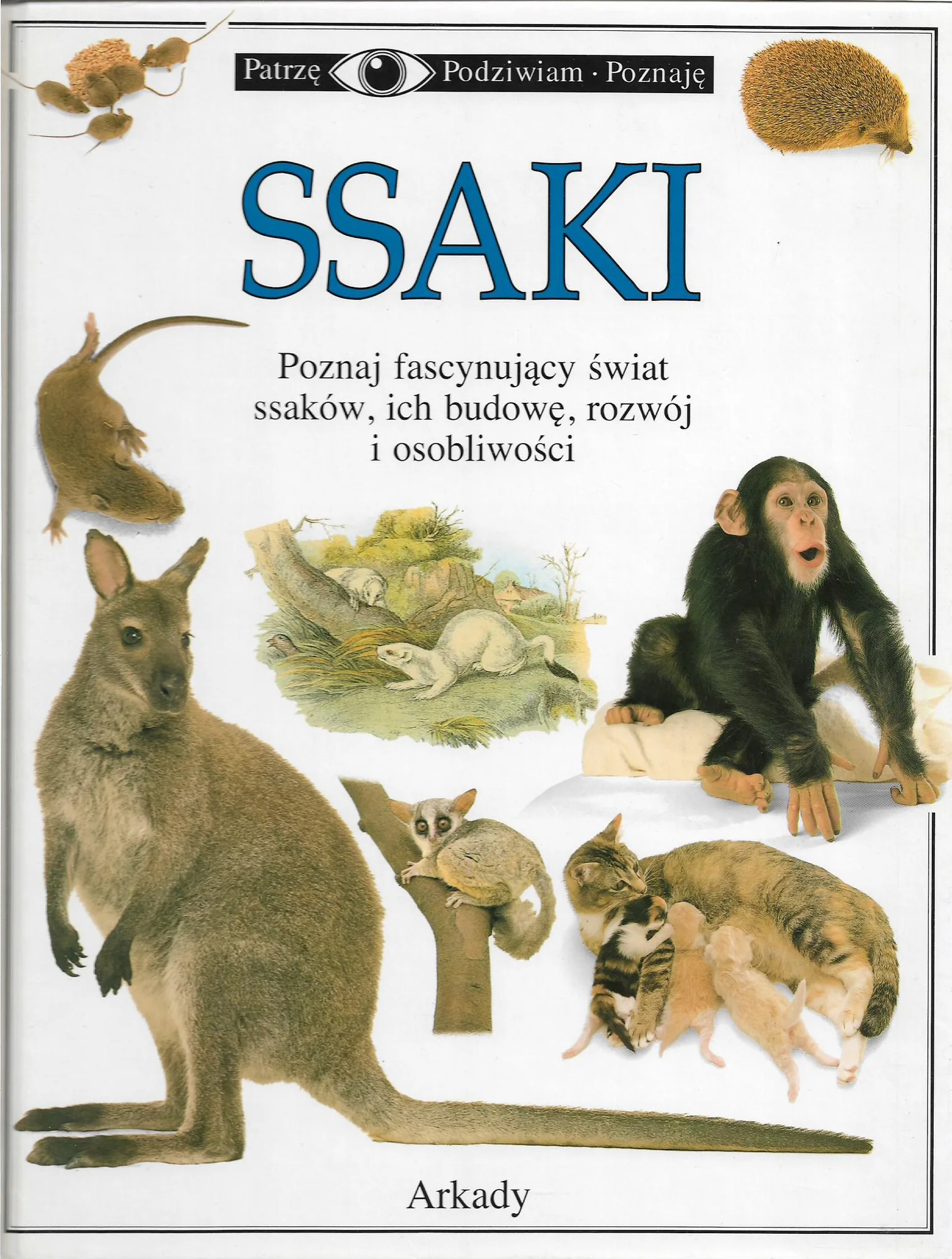 Okładka: PATRZĘ PODZIWIAM POZNAJĘ album SSAKI