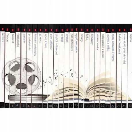 Okładka: Kolekcja GAZETA WYBORCZA Omówienie lektury + DVD