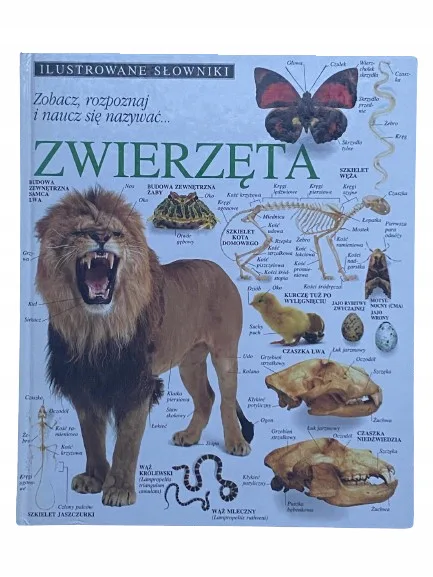 Okładka: Ilustrowane Słowniki album Zwierzęta ssaki ptaki