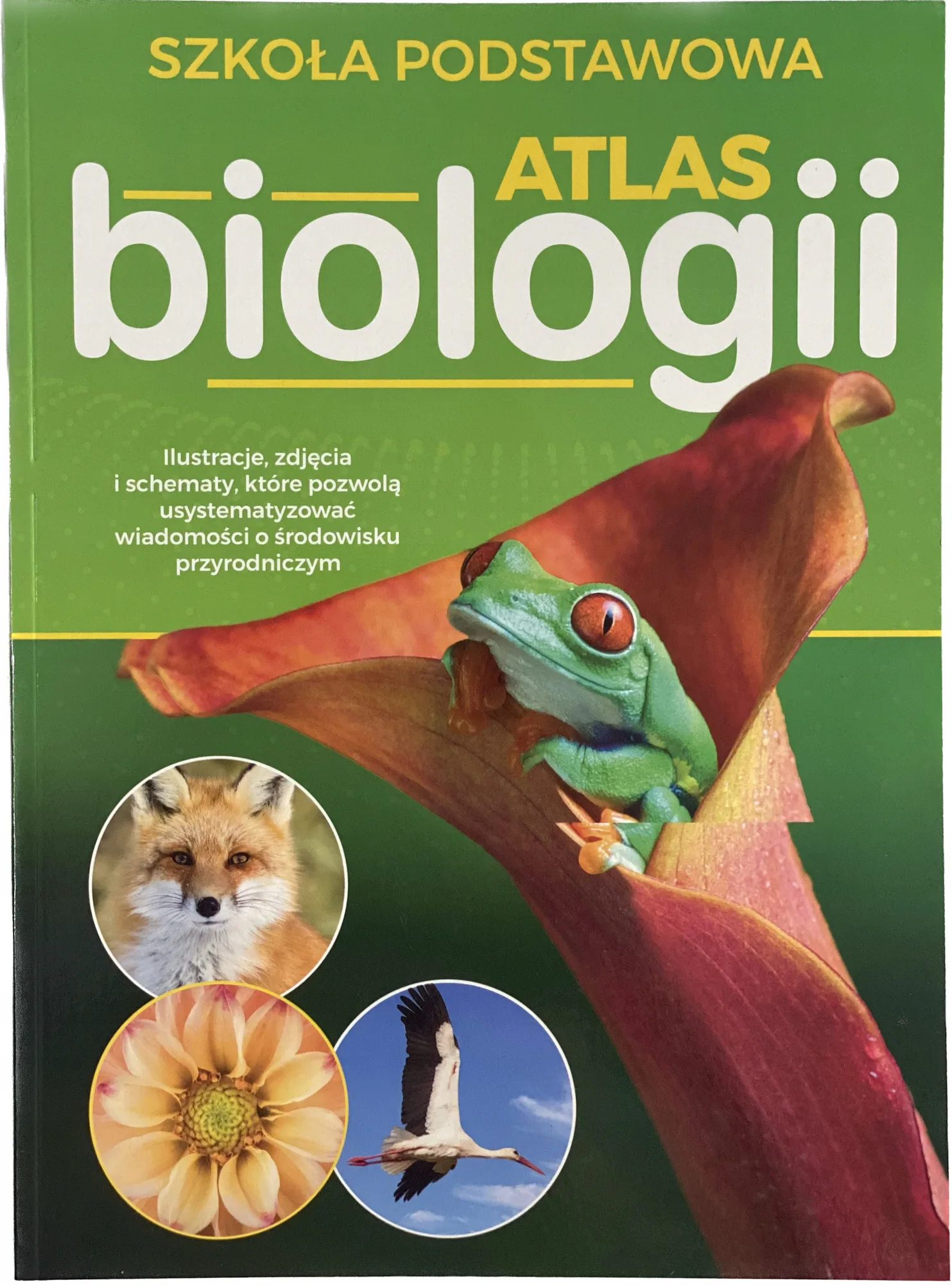 Okładka: ATLAS biologiczny biologia KLASA 5 6 7 8 WSIP
