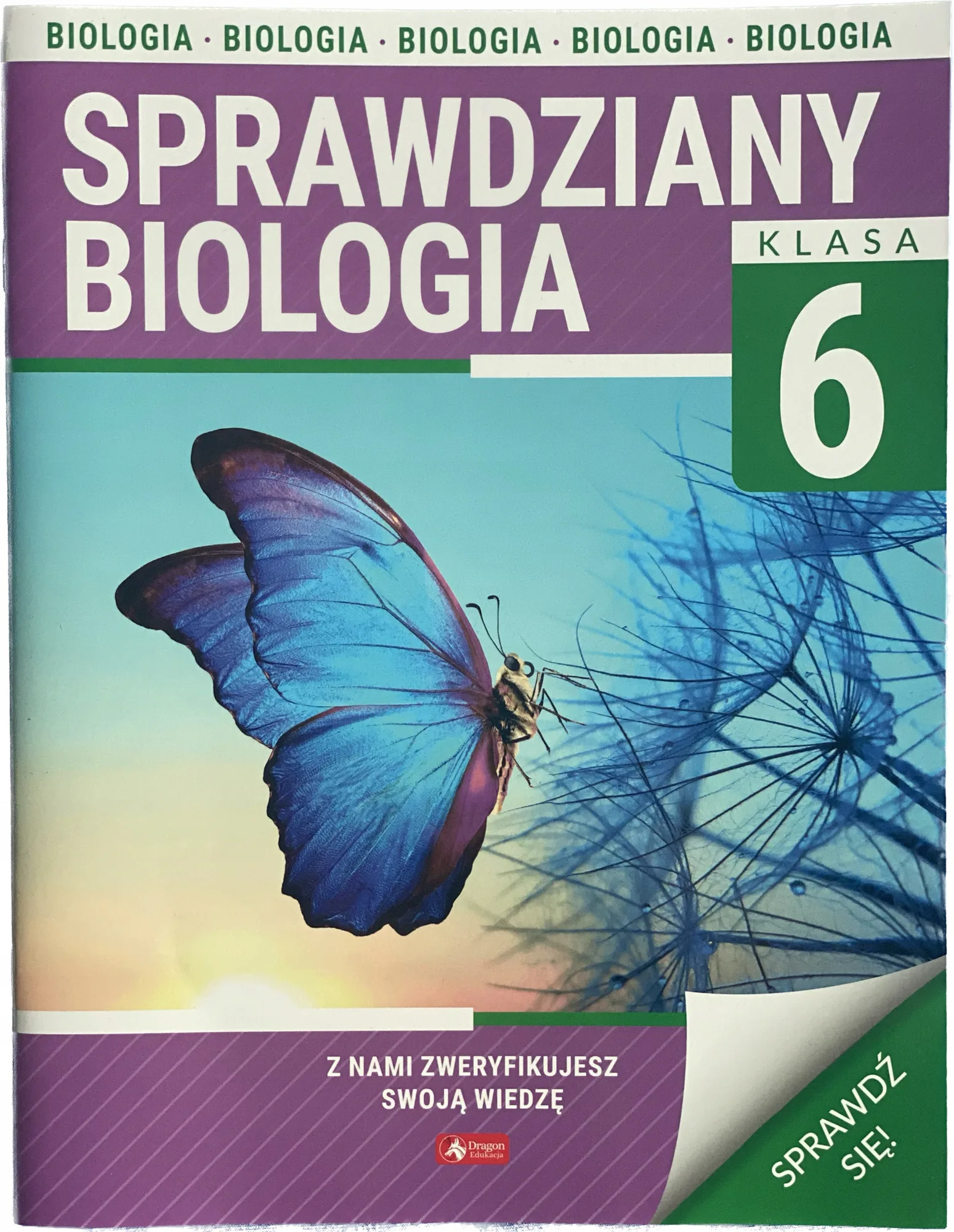 Okładka: Sprawdziany testy biologia KLASA 6 TESTY + odpowiedzi