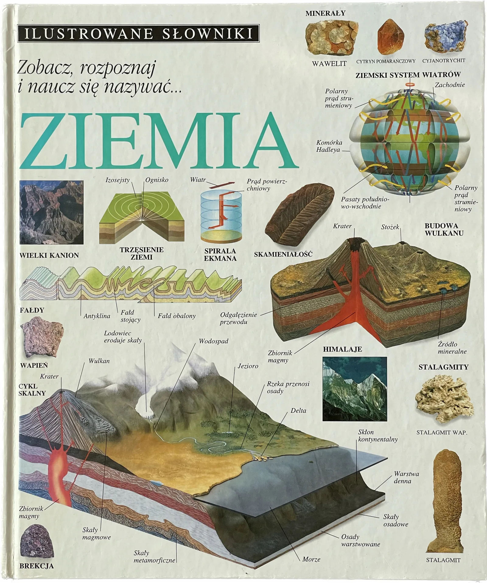 Okładka: ILUSTROWANE SŁOWNIKI Ziemia album ARKADY twarda