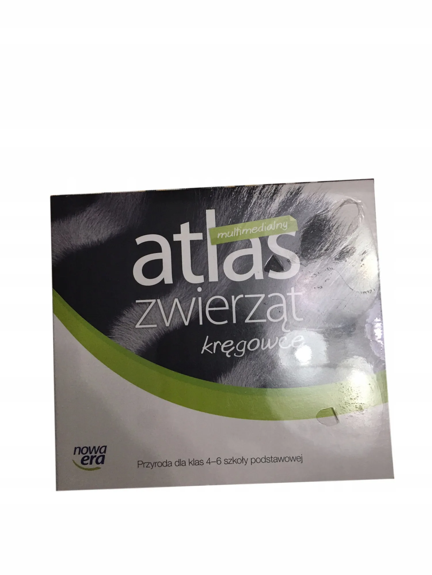 Okładka: KRĘGOWCE multimedialny atlas zwierząt 4 5 6 kl.