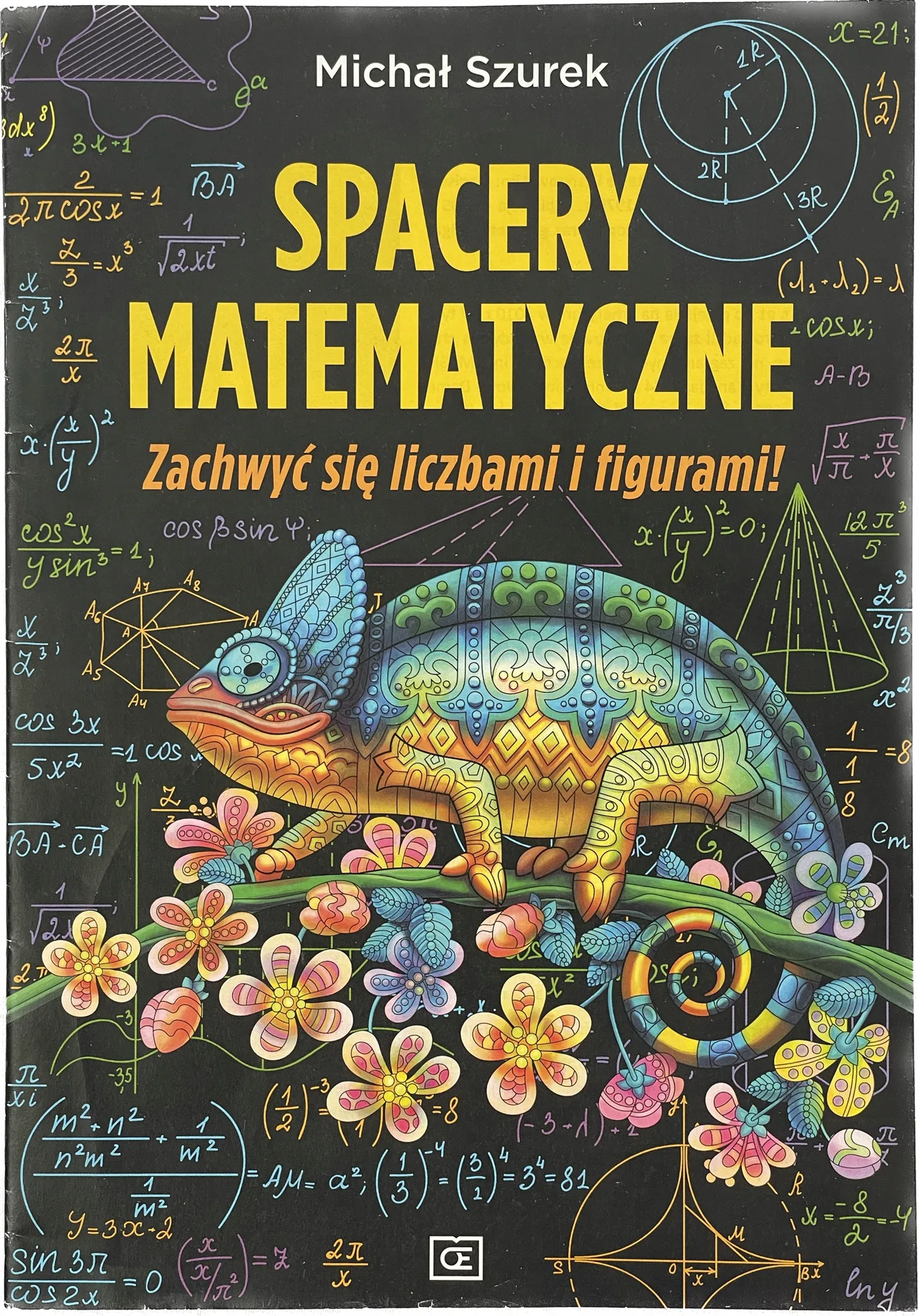 Okładka: Spacery matematyczne Michał Szurek PAZDRO ZADANIA