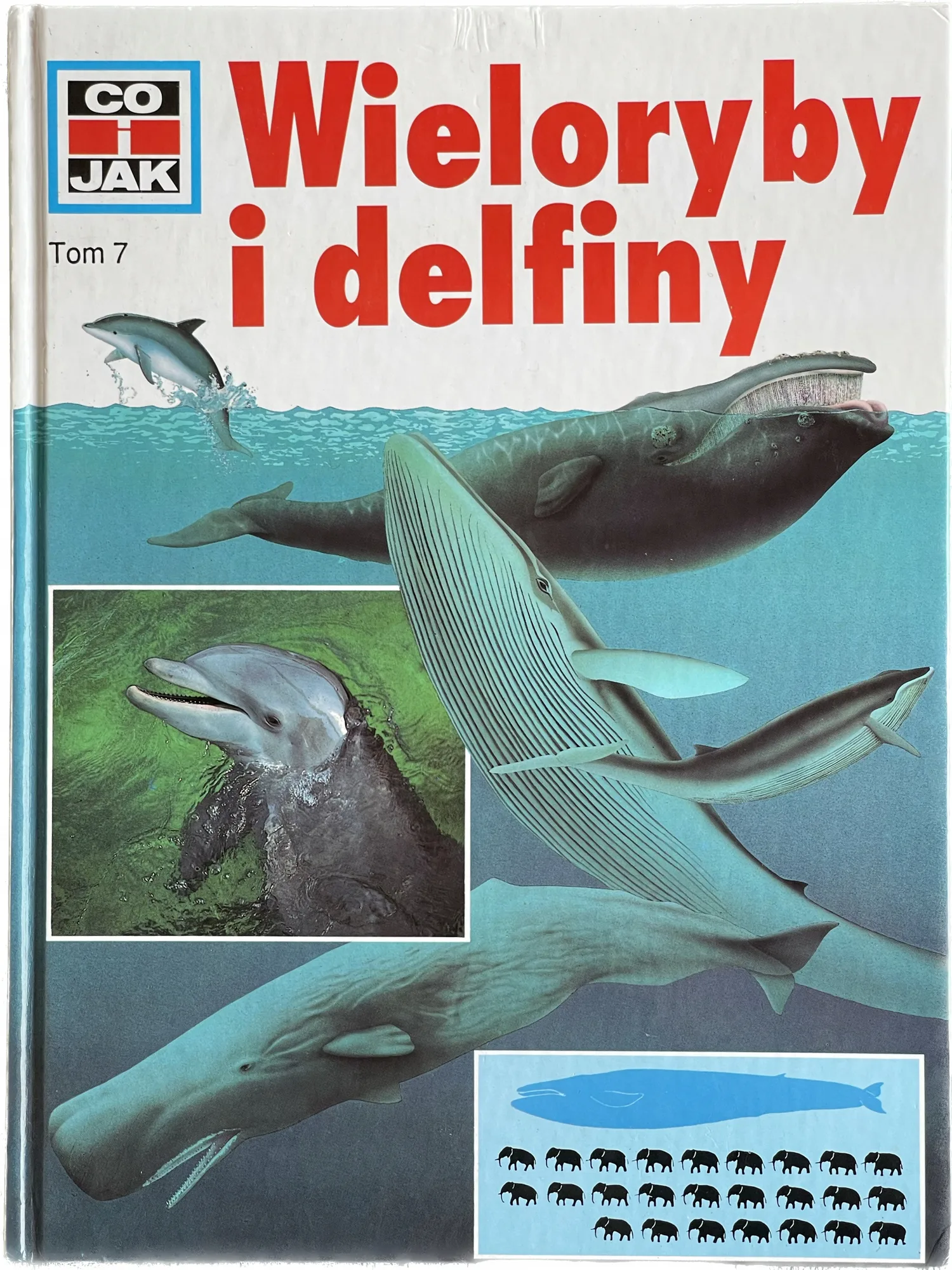 Okładka: seria Co i jak Wieloryby delfiny tom 7