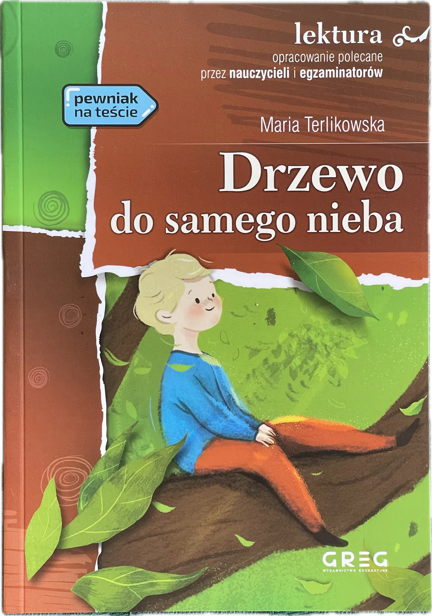 Okładka: Drzewo do samego nieba lektura z opracowaniem