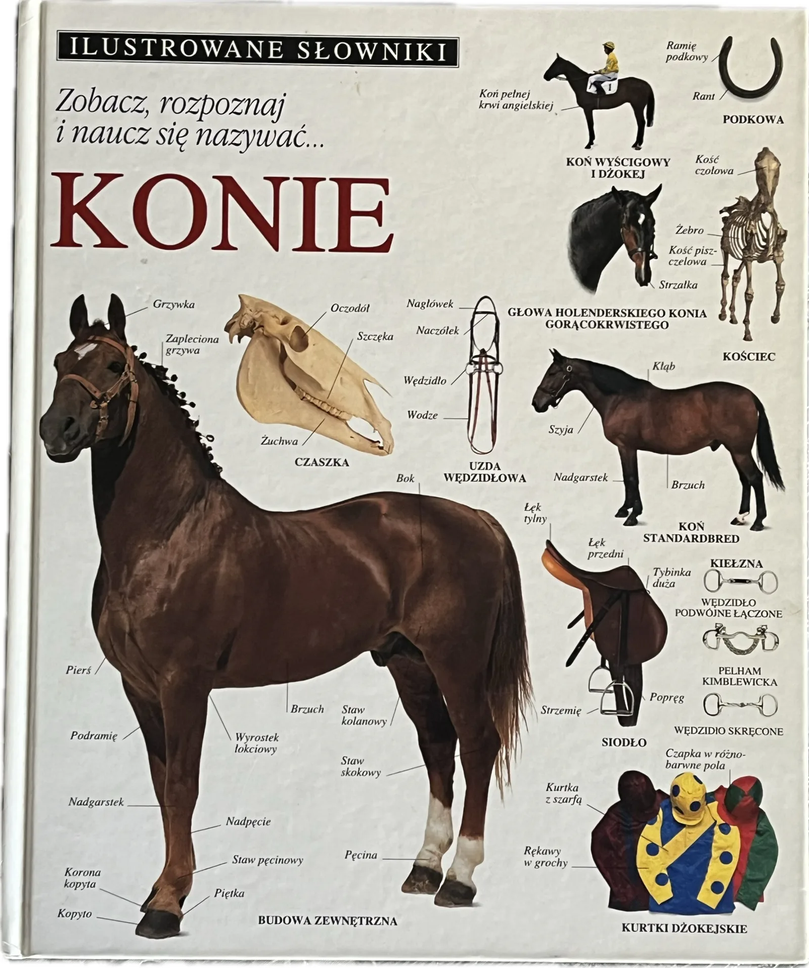Okładka: Ilustrowane Słowniki album KONIE kuce rumaki araby jeździectwo
