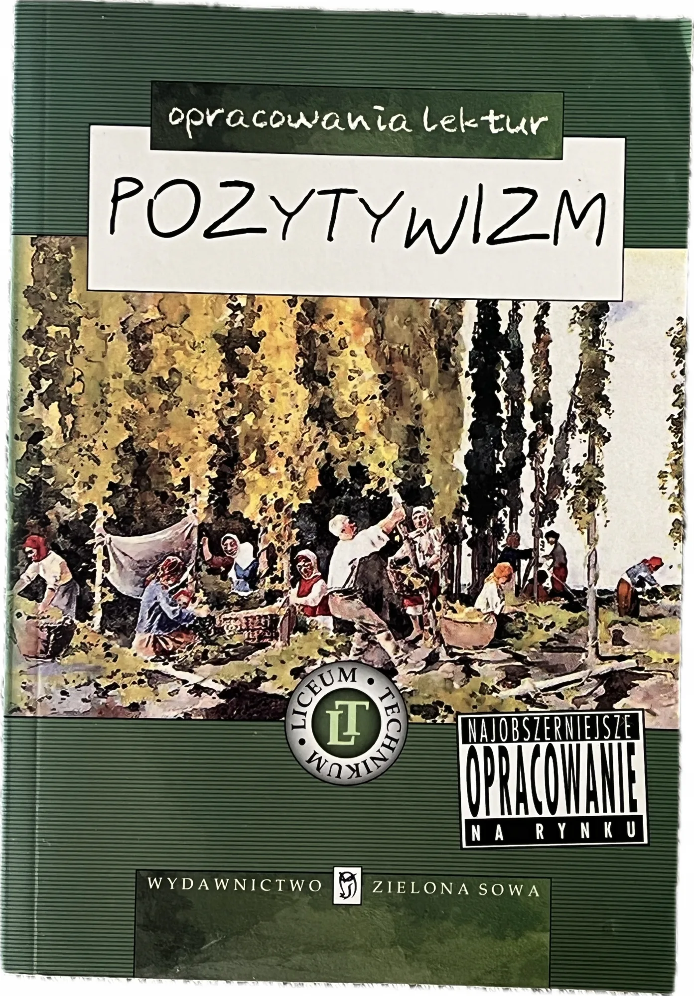 Okładka: POZYTYWIZM liceum ŚCIĄGA OPRACOWANIA lektur streszczenia