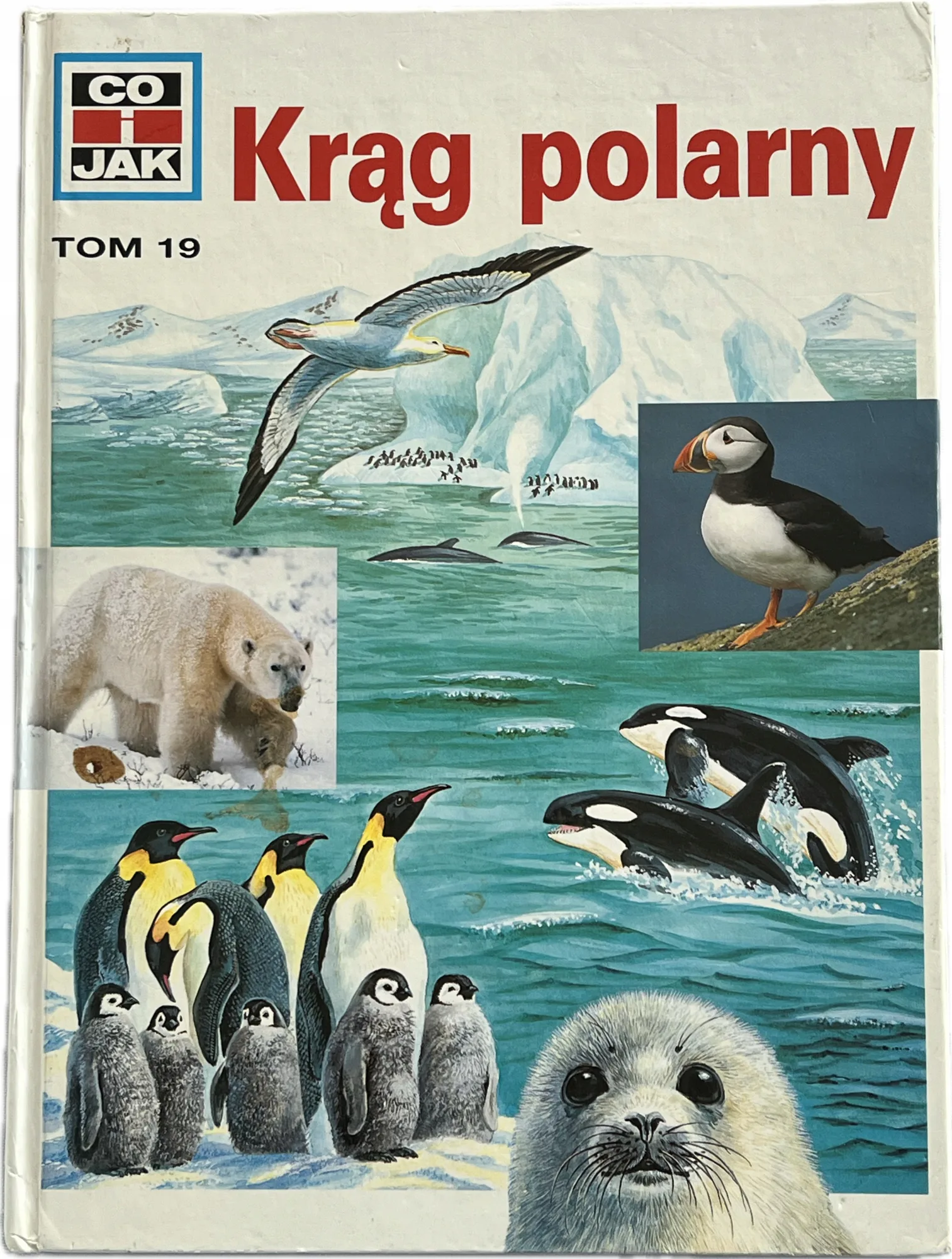 Okładka: Krąg polarny seria CO i JAK album dla dzieci