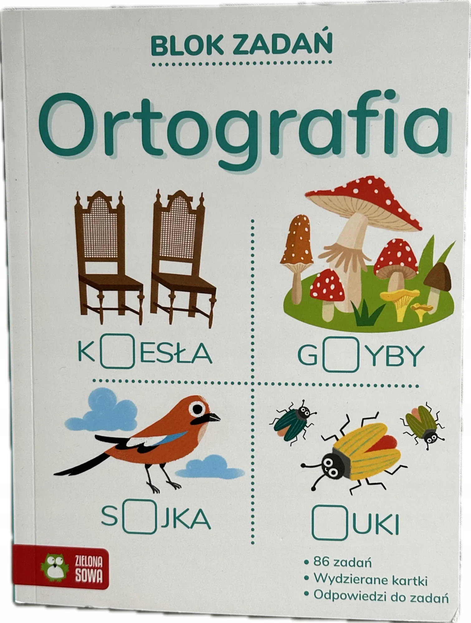 Okładka: Ortografia ćwiczenia ortograficzne zadania dla dzieci klasa 1 2 3 odpowiedz
