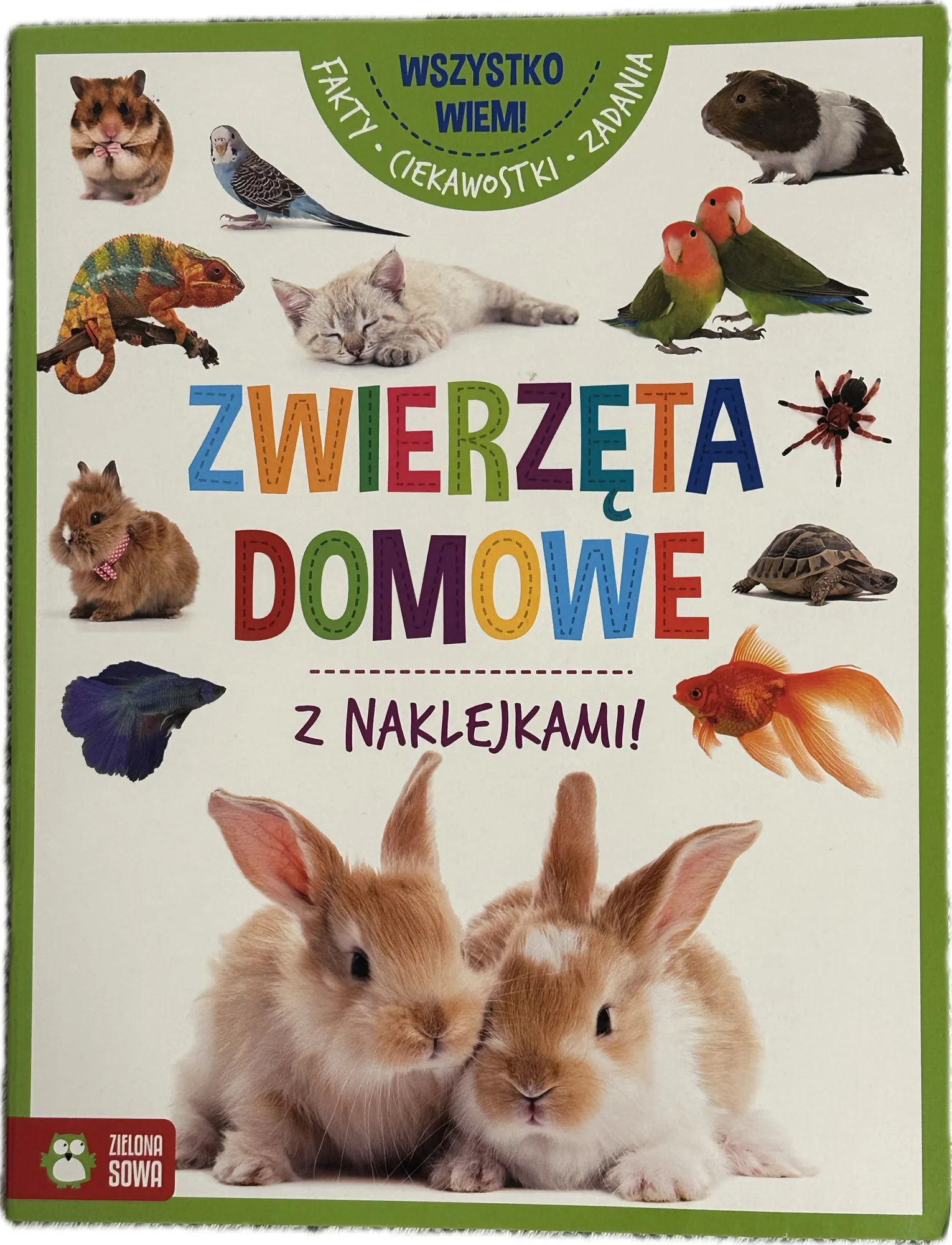 Okładka: Zwierzęta DOMOWE - książeczka edukacyjna z naklejkami 3 4 5 lat