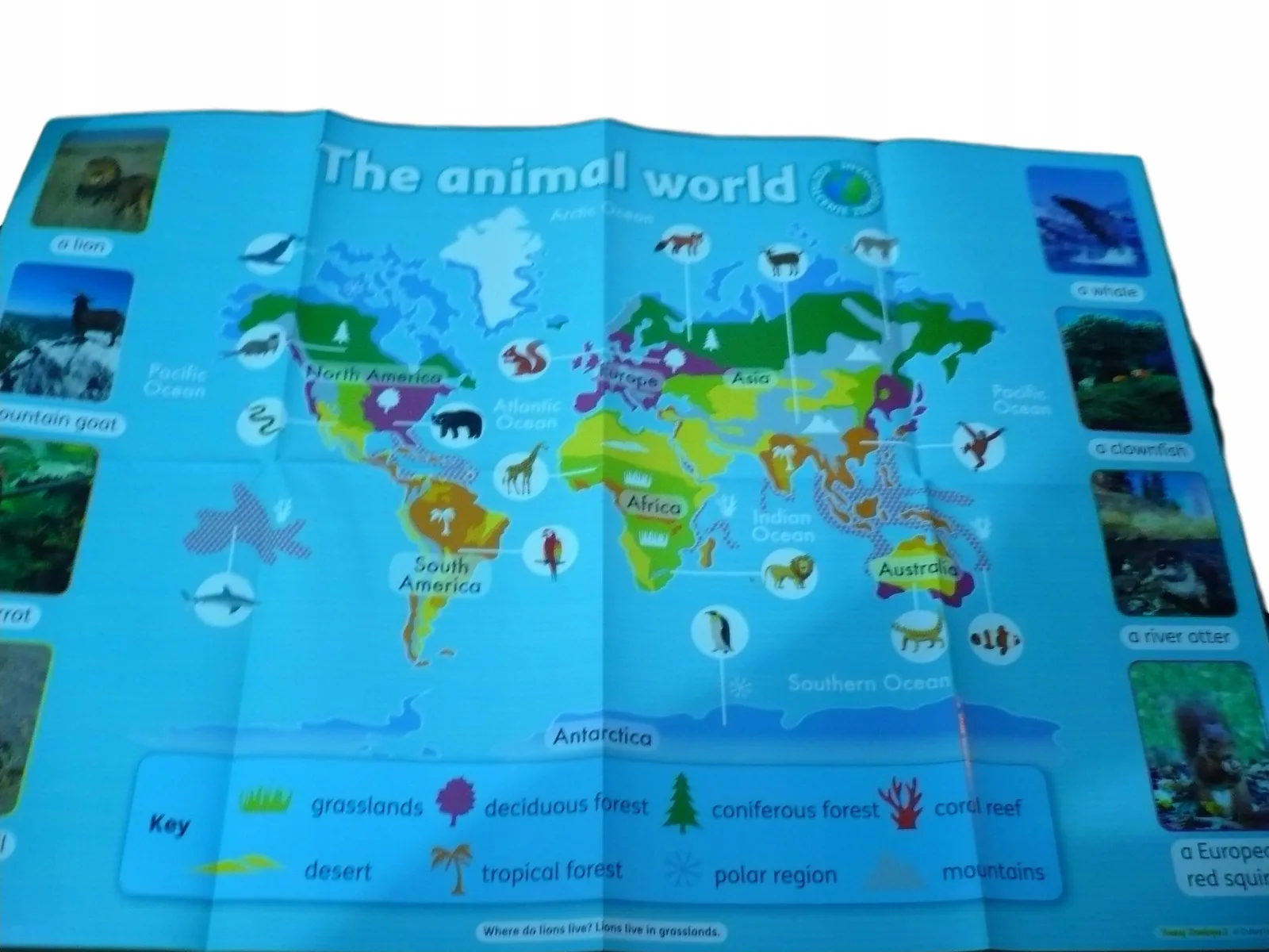 Okładka: THE ANIMAL WORLD plakat świat zwierzat