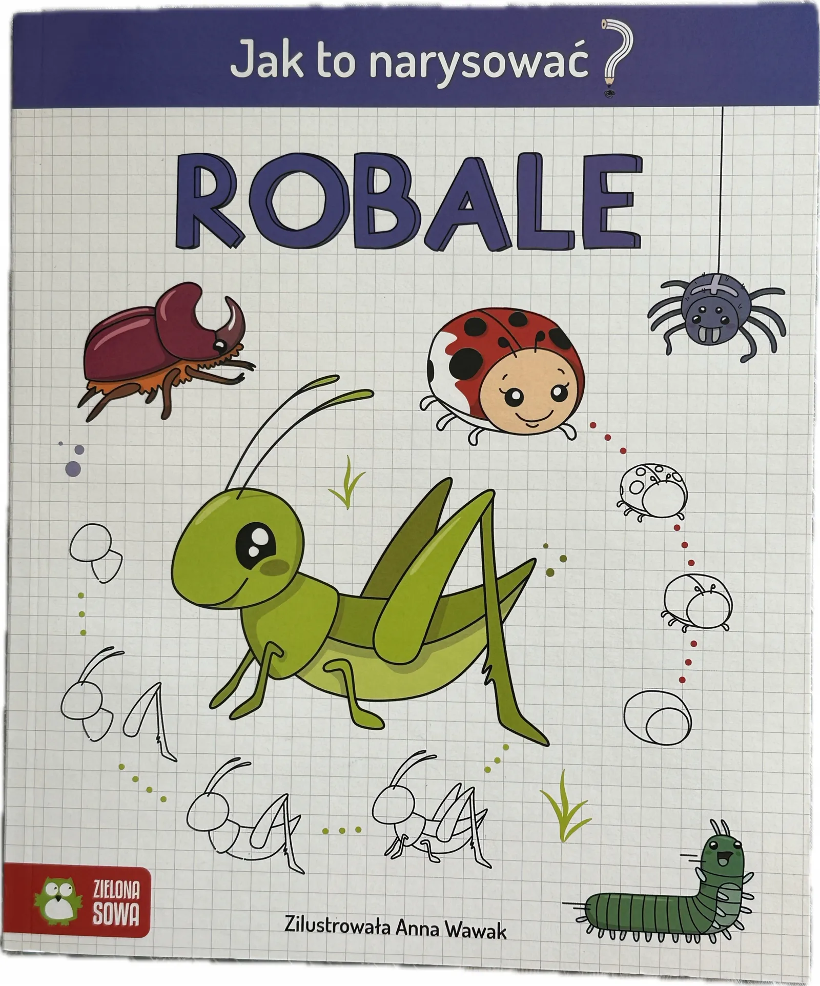 Okładka: Nauka rysowania kurs dla dzieci Robale robaki pająk komar ćma mrówka motyl