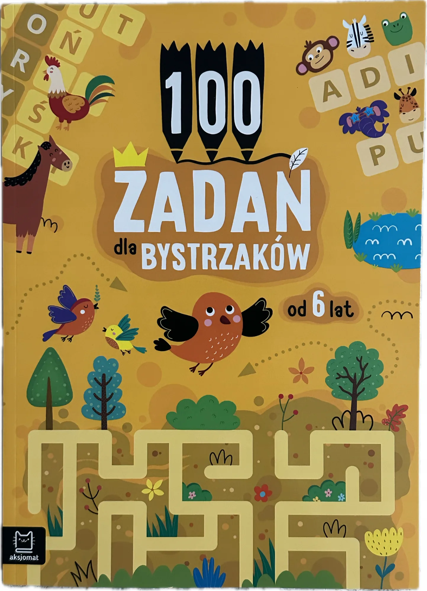 Okładka: Ćwiczenia zadania dla bystrzaków 100 zadań A4 DIAGRAMY ZAGADKI REBUSY 6+