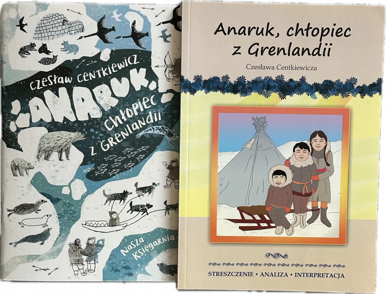 Okładka: Anaruk chłopiec z Grenlandii lektura + STRESZCZENIE OPRACOWANIE OMÓWIENIE