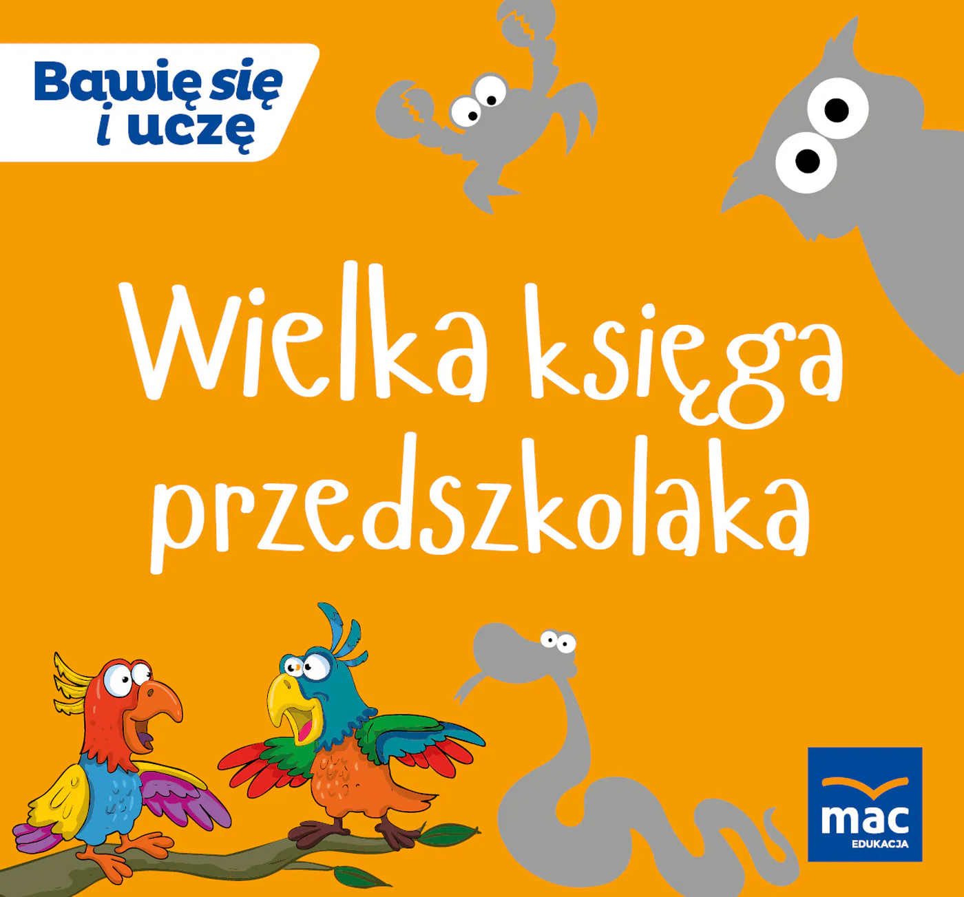 Okładka: Wielka księga przedszkolaka nauka literek czytanie kaligrafia MAC 5 6 lat
