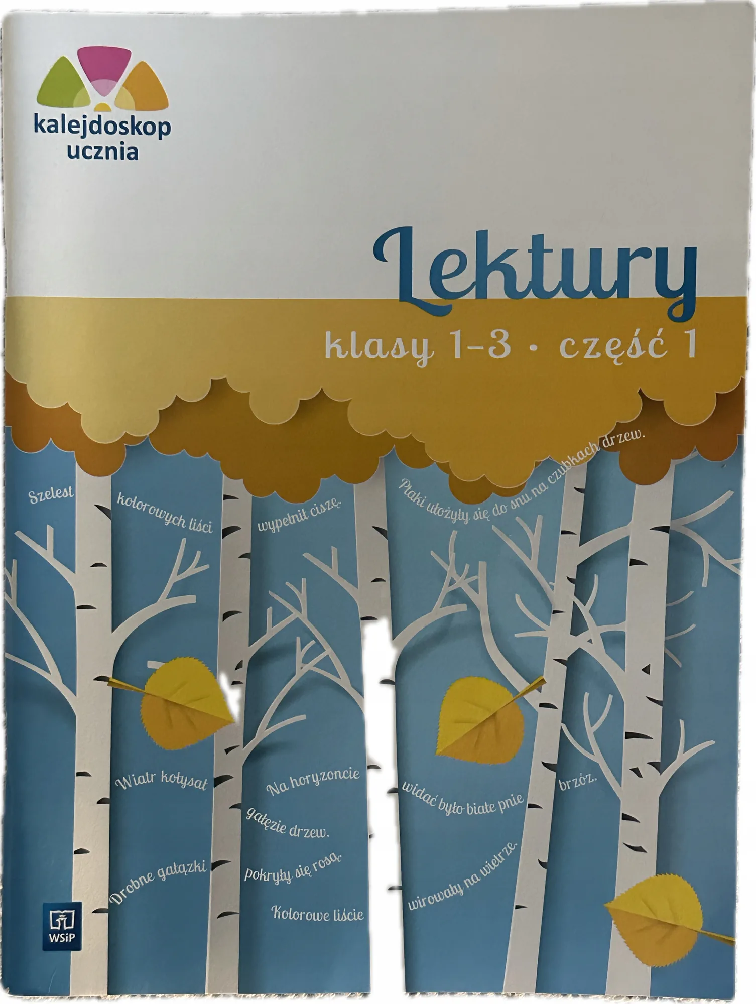Okładka: KARTY PRACY Z LEKTUR lektury WSIP KLasa 1 2 3 część 1