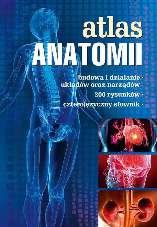 Okładka: ATLAS anatomiczny biologiczny klasa 7 8 liceum