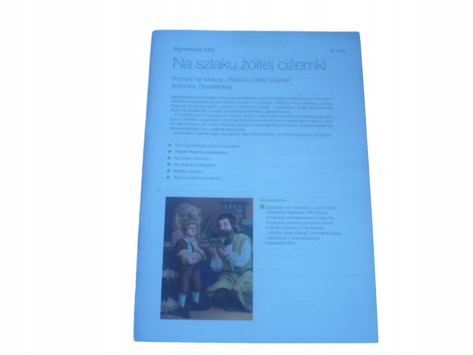 Okładka: HISTORIA ŻÓŁTEJ CIŻEMKI OPRACOWANIE LEKTURY testy