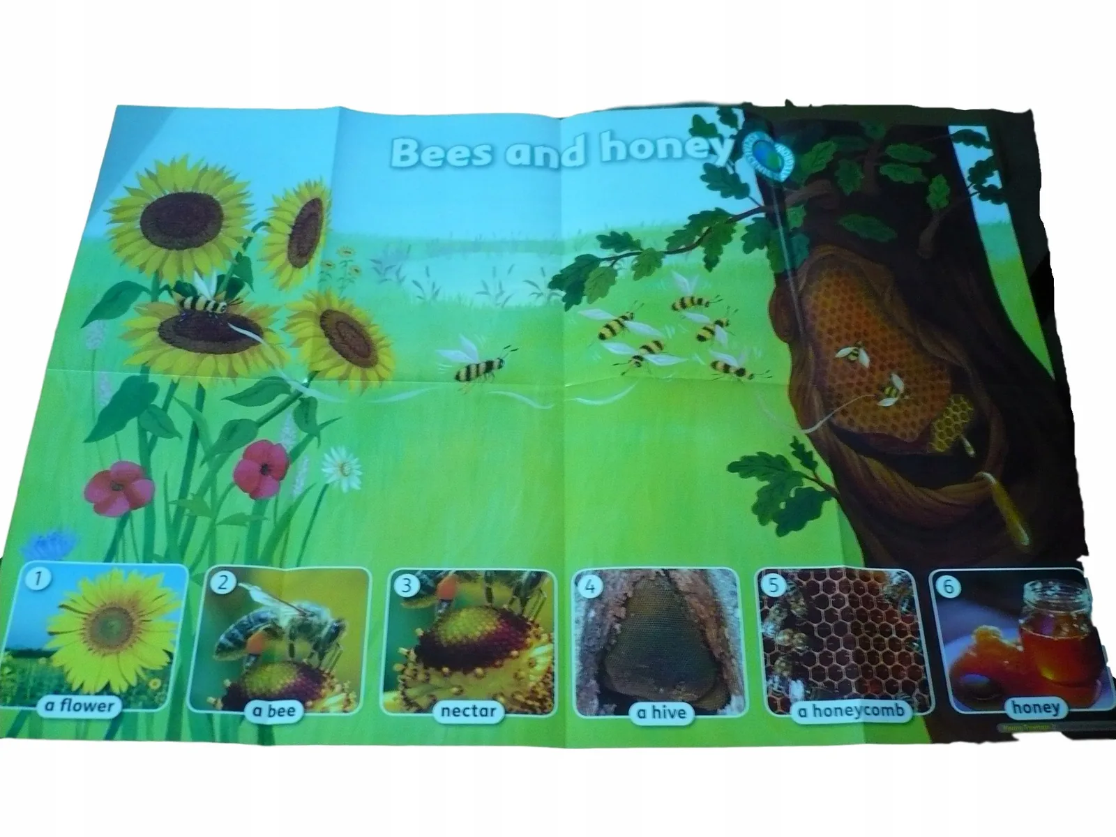 Okładka: BEES AND HONEY plakat pszczoły i miód