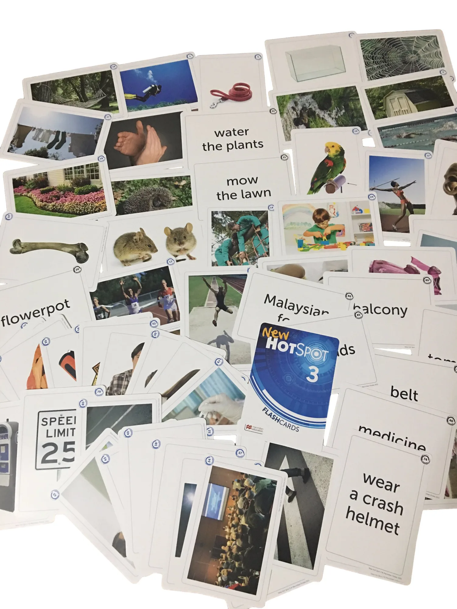 Okładka: NEW HOT SPOT 3 karty obrazkowe z PODPISAMI FLASHCARDS KLASA 6 ANGIELSKI