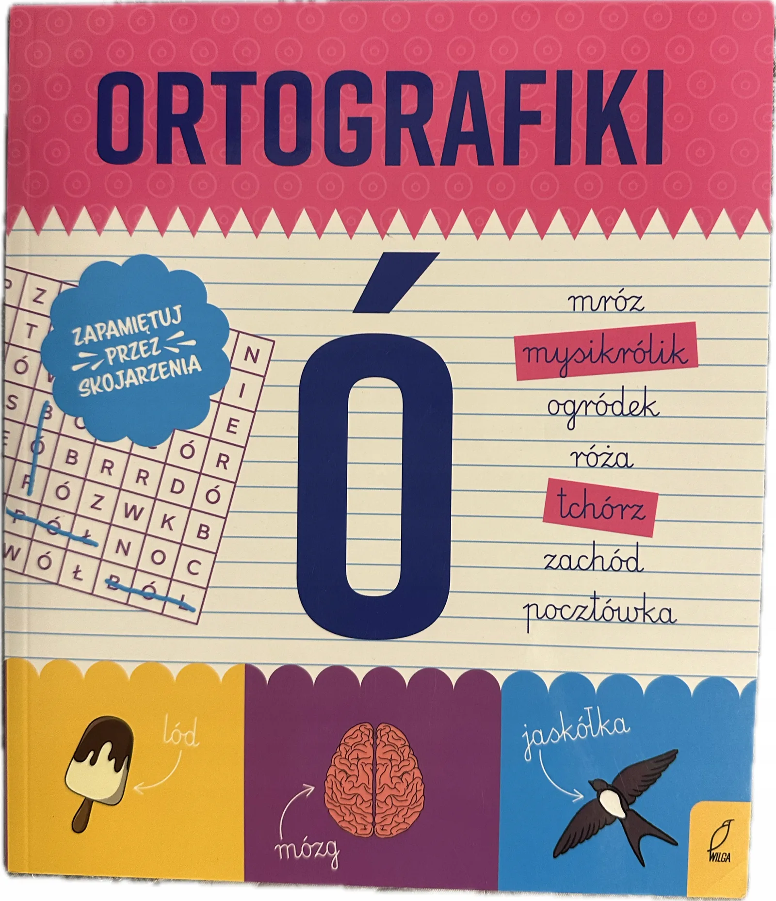 Okładka: Ortografia Ortografiki pisownia wyrazów z ó