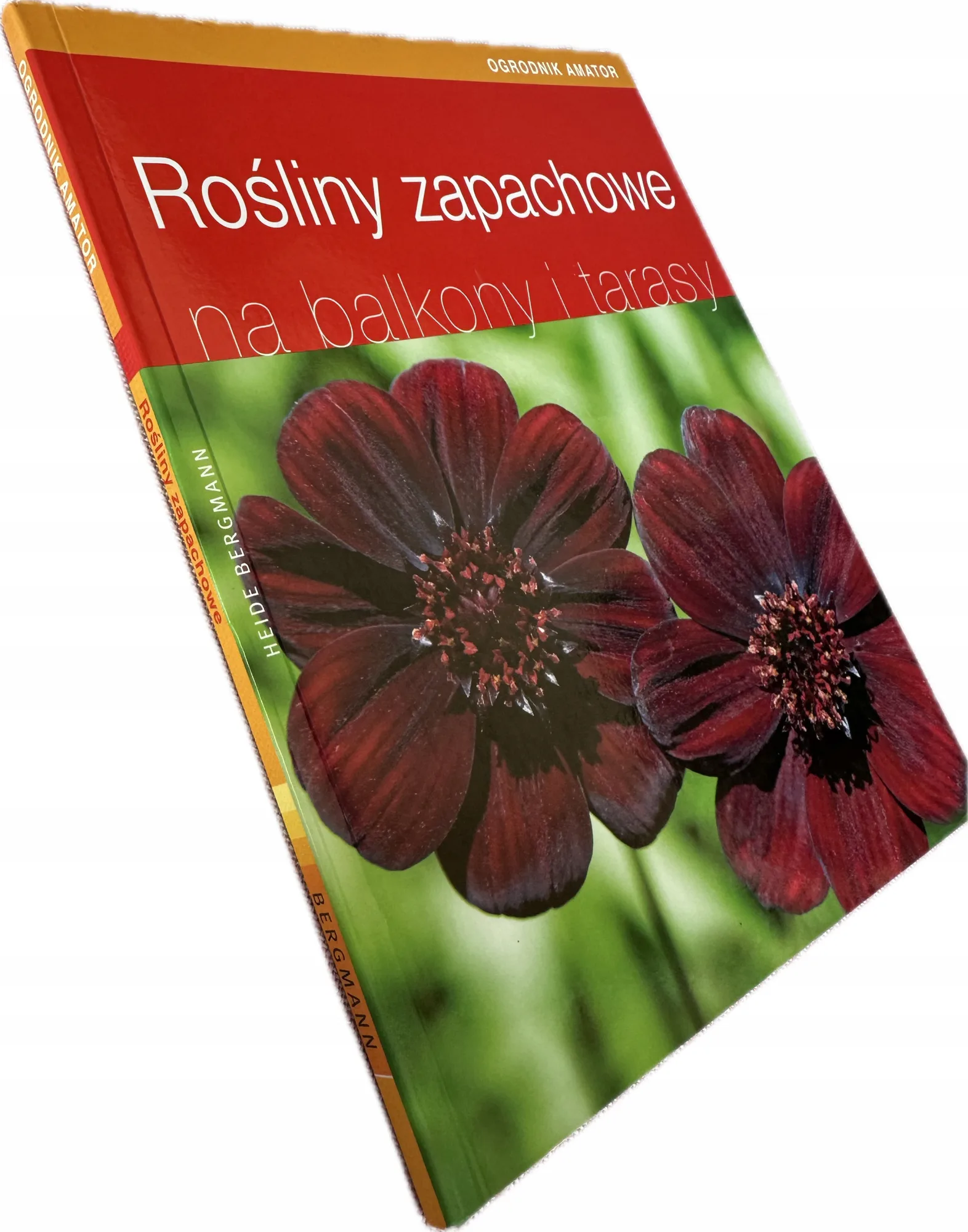 Okładka: Rosliny zapachowe na balkony i tarasy bdb