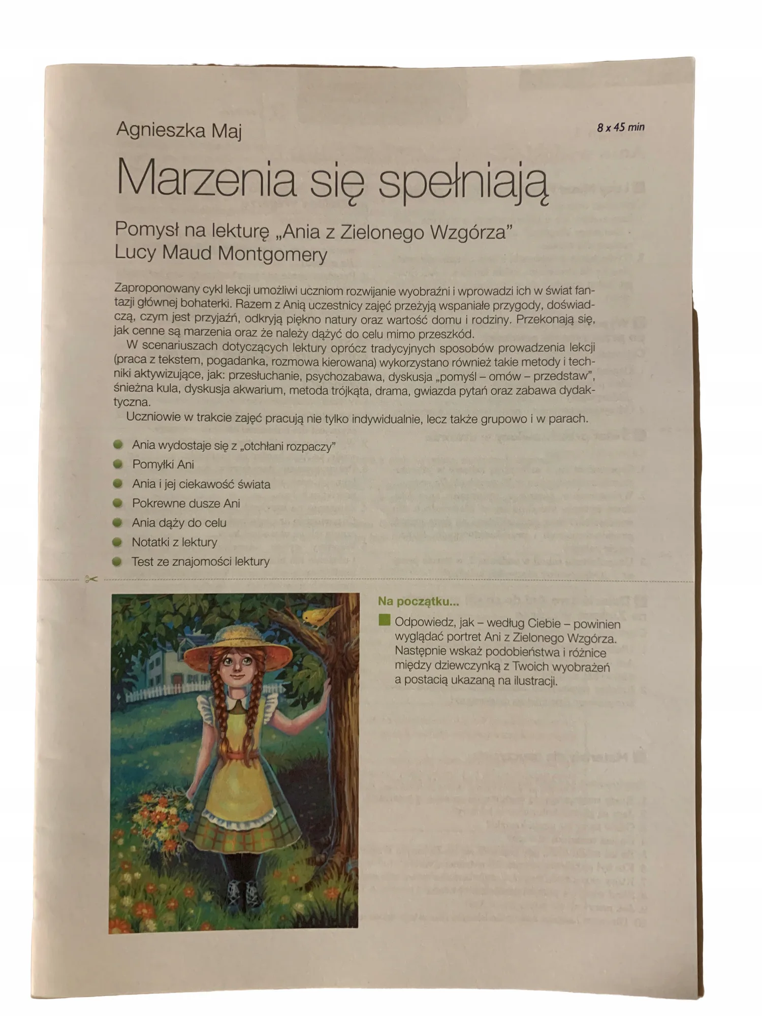 Okładka: Marzenia się spełniają OPRACOWANIE LEKTURY testy Ania z Zielonego Wzgórza
