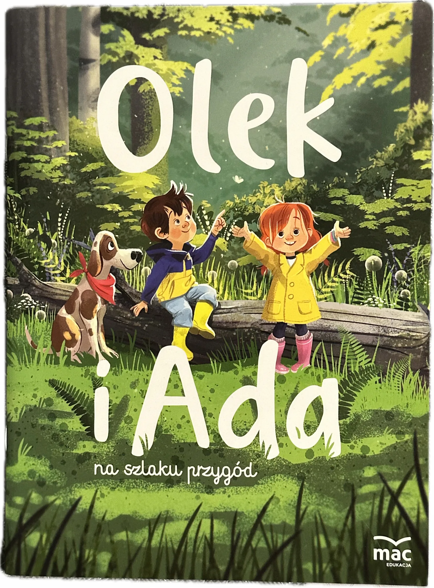 Okładka: Olek i ADA na szlaku przygód przedszkole ksiązka Mac