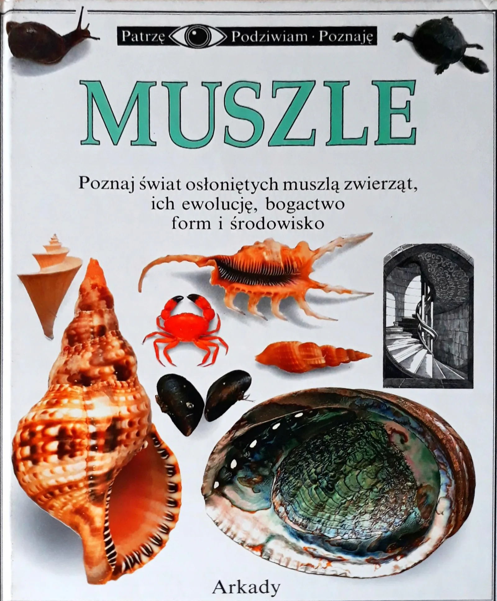 Okładka: PATRZĘ PODZIWIAM POZNAJĘ MUSZLE