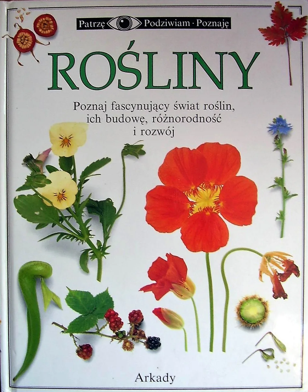 Okładka: PATRZĘ PODZIWIAM POZNAJĘ ROŚLINY