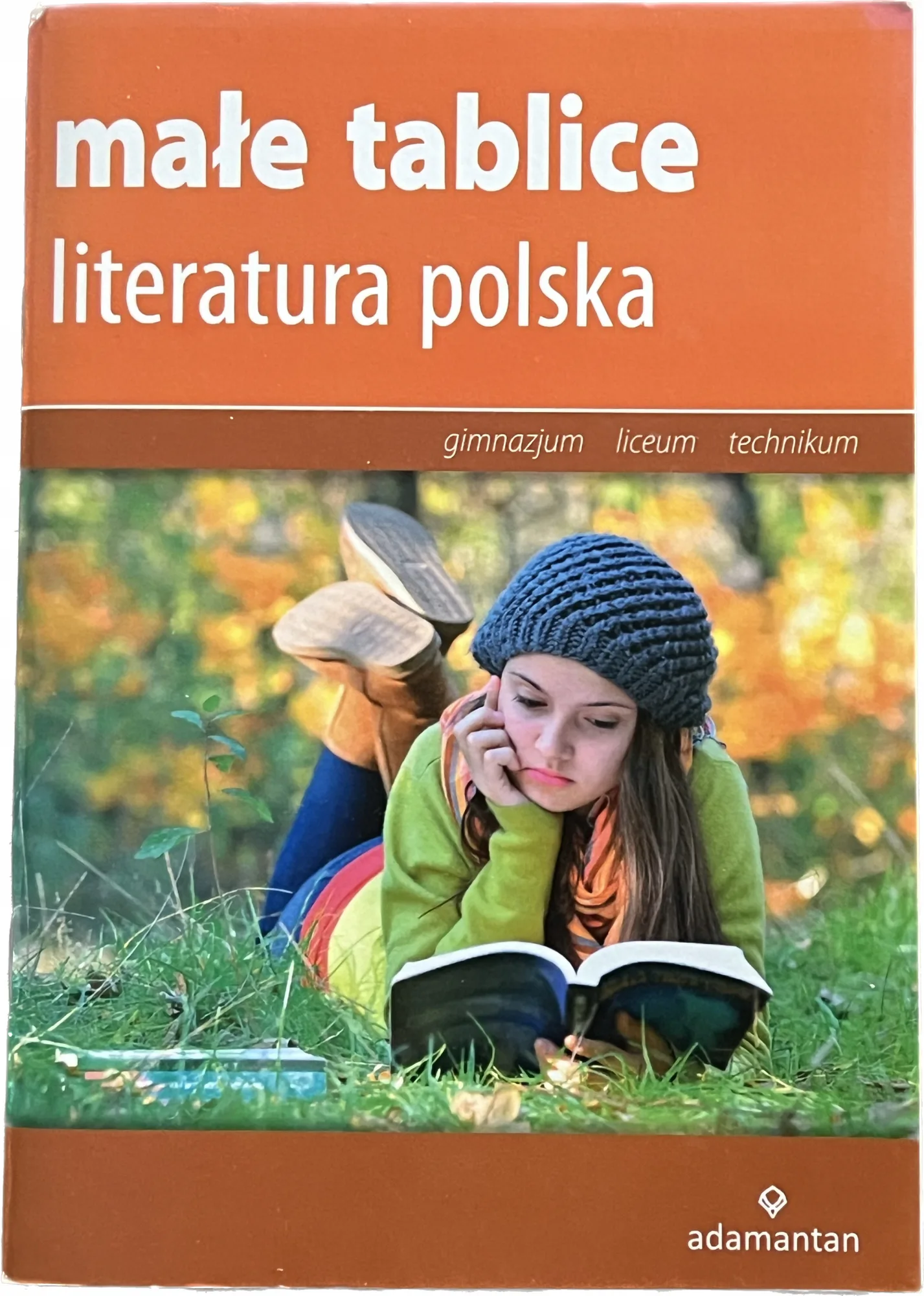 Okładka: Tablice szkolne literatura polska język polski liceum