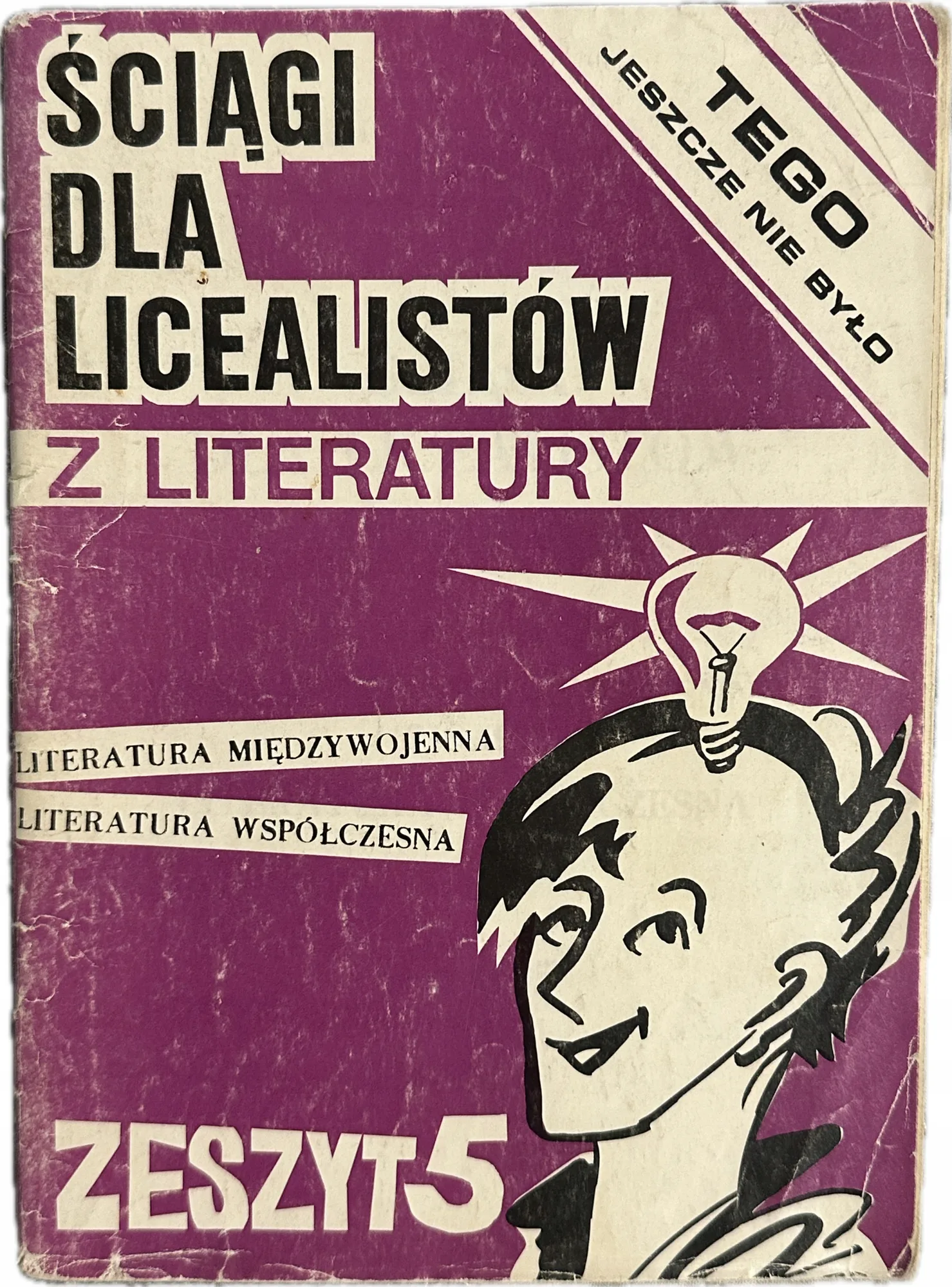 Okładka: Literatura międzywojenna i współczesna liceum ściąga opracowania matura