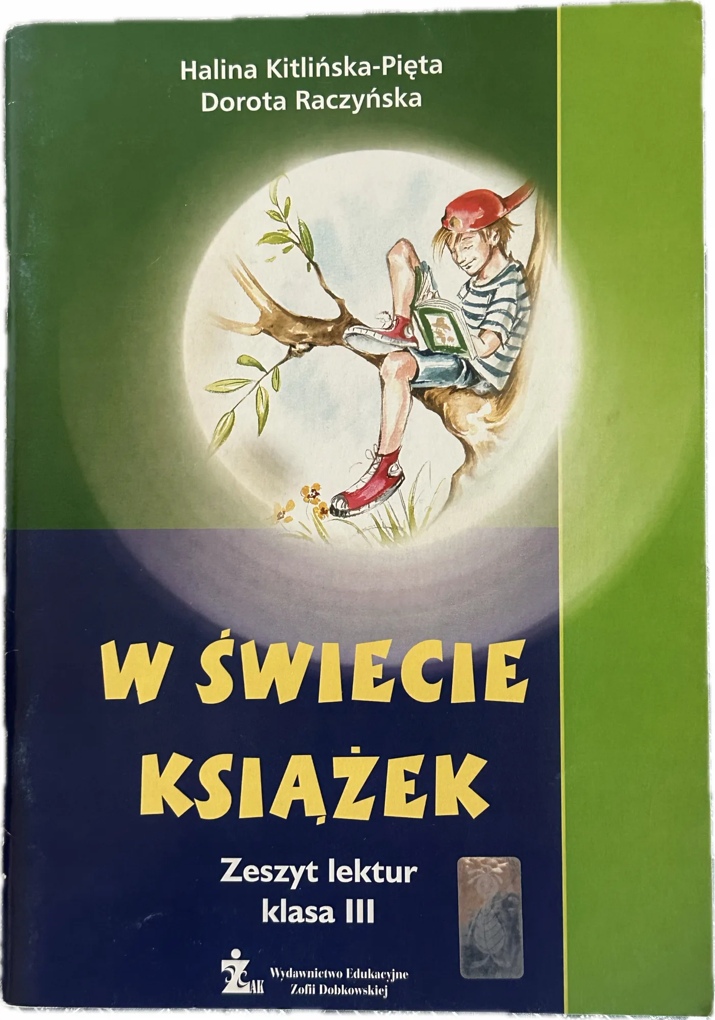 Okładka: W świecie książek zeszyt lektur klasa 3 karty pracy ćwiczenia