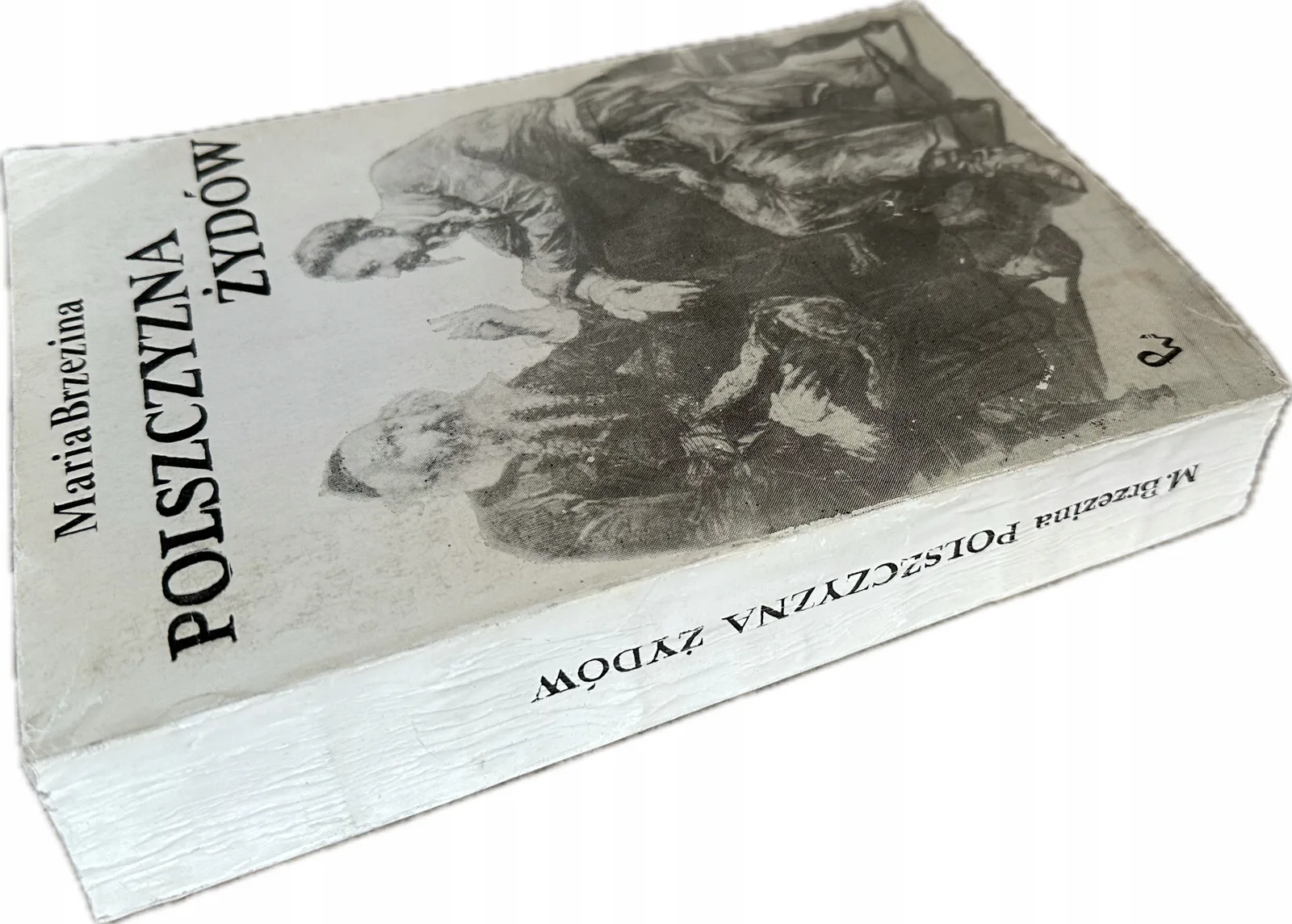 Okładka: Polszczyzna ŻYDÓW MARIA Brzezina