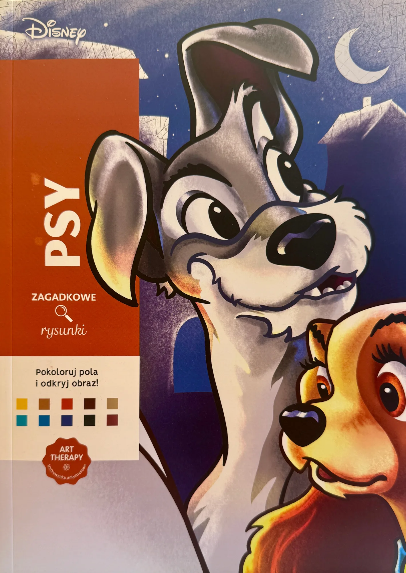 Okładka: Disney KOLOROWANKA ANTYSTRESOWA Zagadkowe rysunki PSY ART therapy