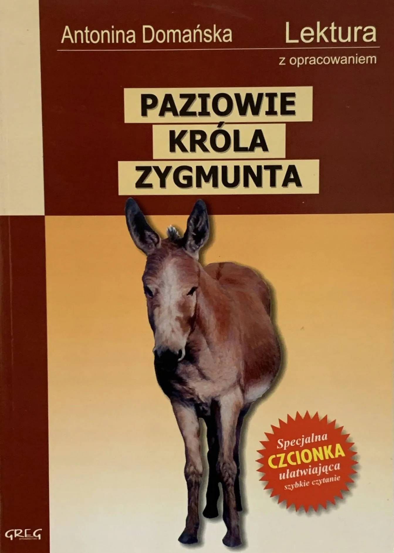 Okładka: Paziowie króla Zygmunta lektura z opracowaniem
