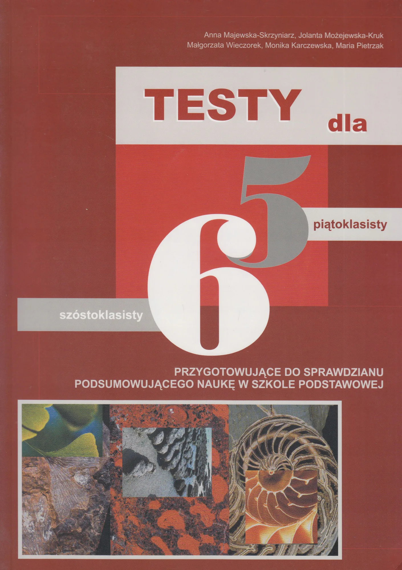 Okładka: Testy dla piątoklasisty szóstoklasisty 5 6 klasa egzamin polski matematyka