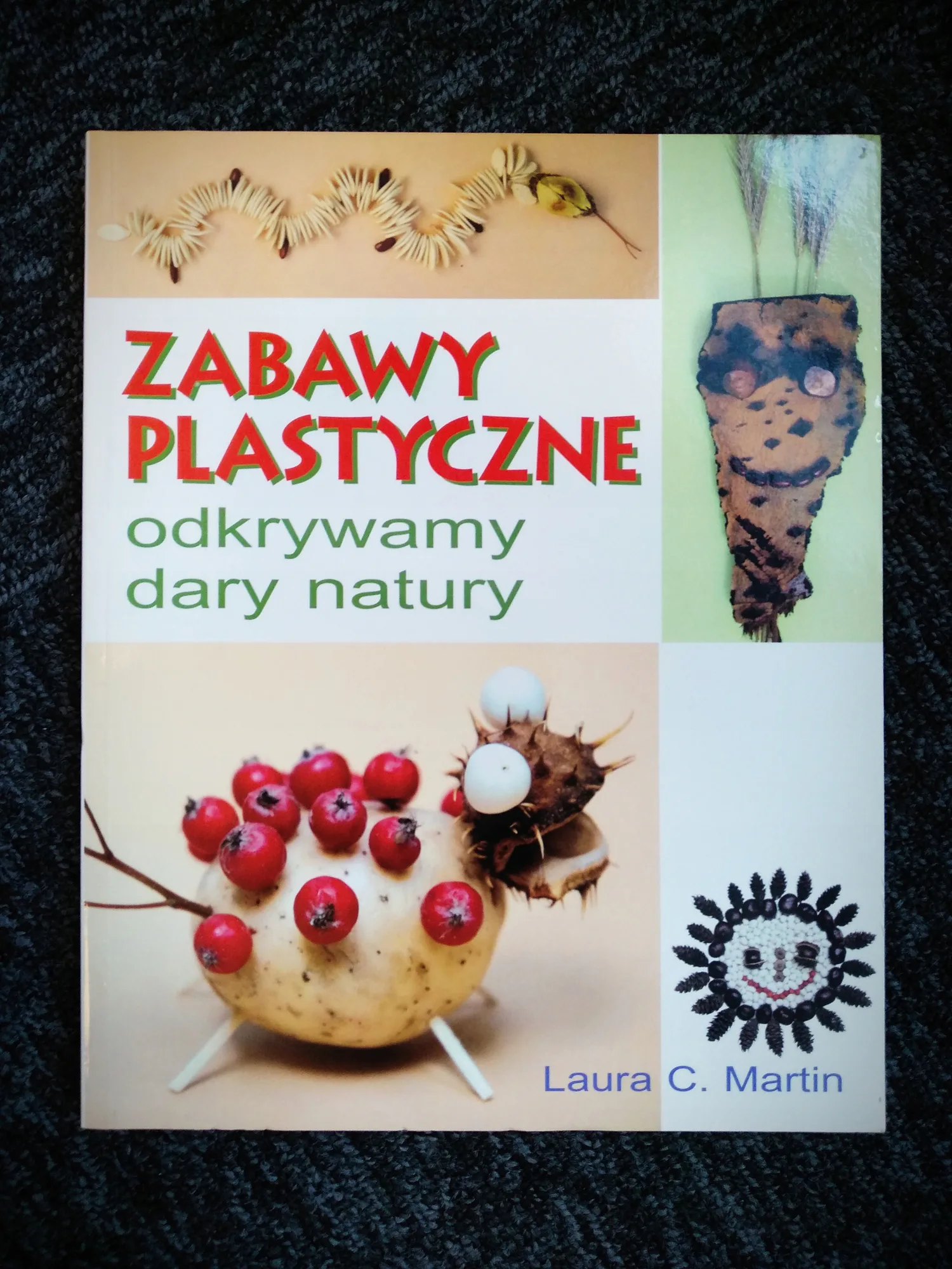 Okładka: Zabawy Plastyczne - odkrywamy dary natury Laura C. Martin