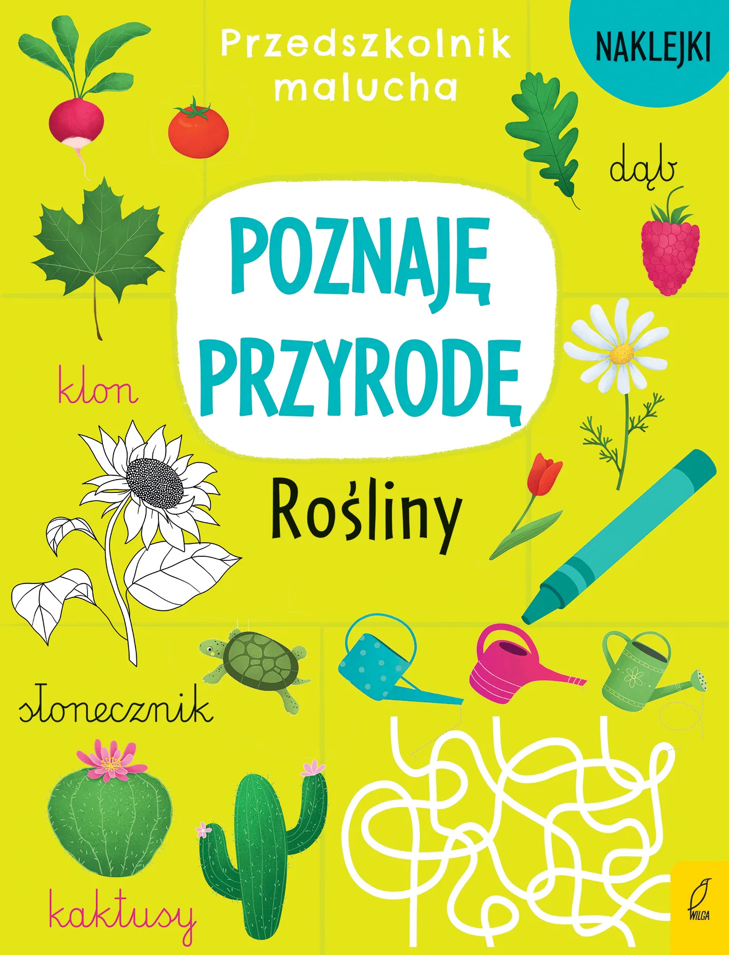 Okładka: Poznaję przyrodę Rośliny drzewa warzywa kwiaty przedszkolnik malucha