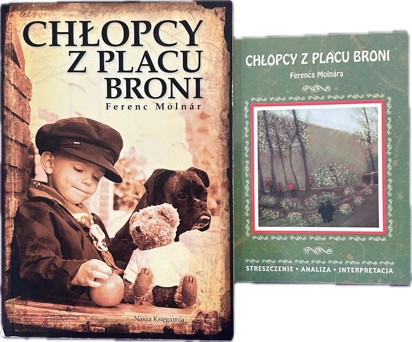 Okładka: Chłopcy z Placu Broni lektura Molnar + opracowanie streszczenie ściąga bryk