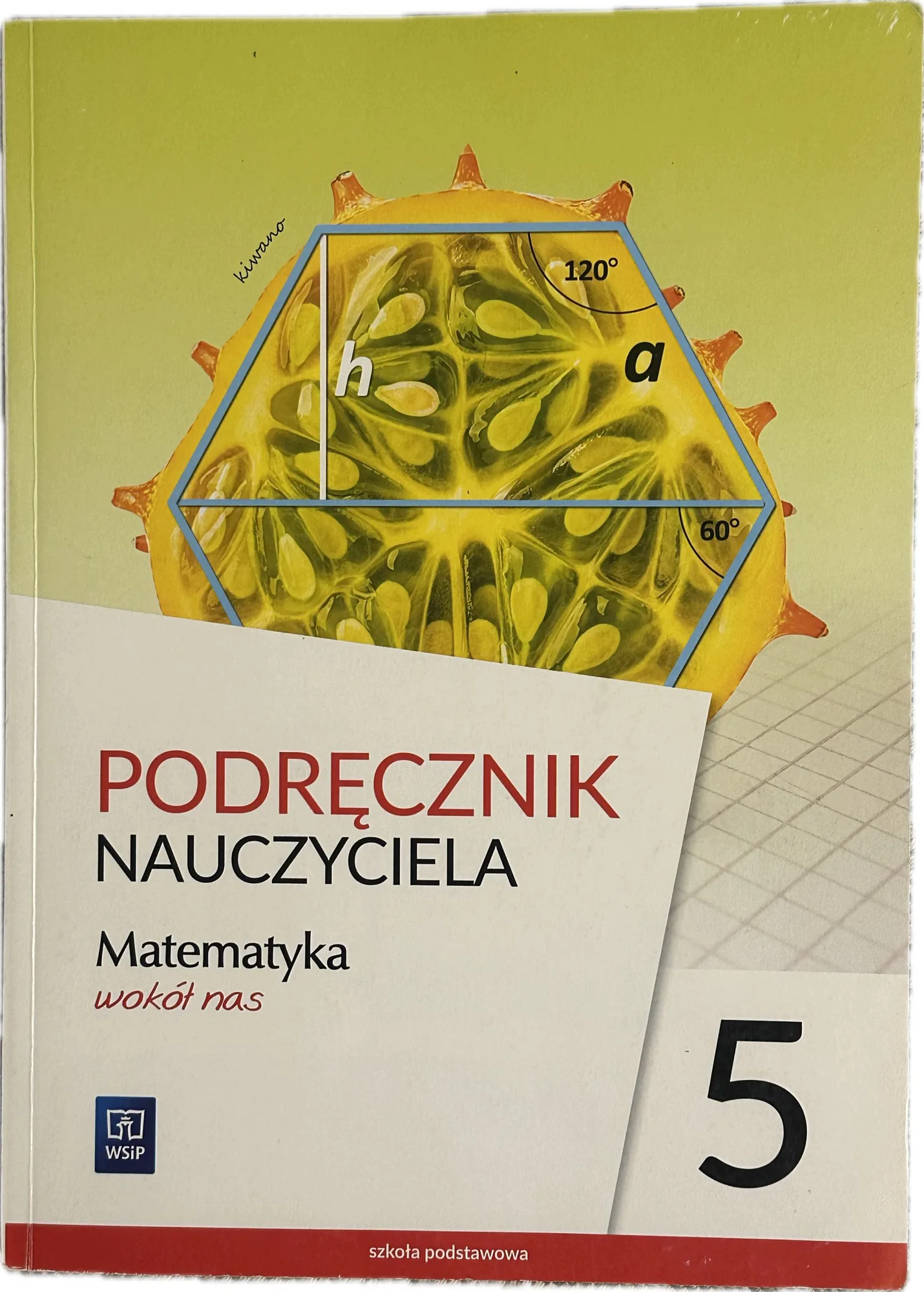 Okładka: Matematyka wokół nas klasa 5 ksiązka nauczyciela poradnik WSIP